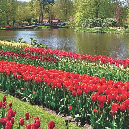 Netherlands