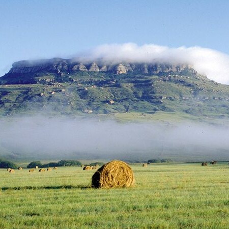 Free State