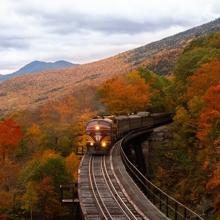 Rail