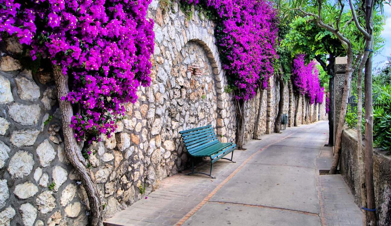 Walking the Amalfi Coast for 7 nights from R21 210* pps - land only