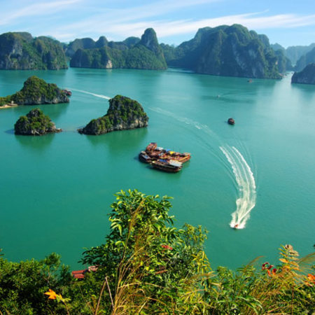 Taste of Vietnam