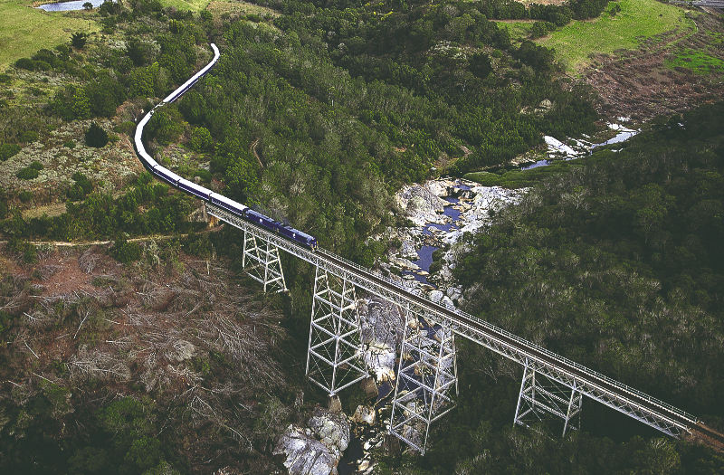 Blue Train Early Bird Special
