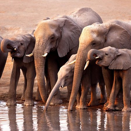 7 Days Namibia Guided Tour – Windhoek – Swakopmund & Etosha