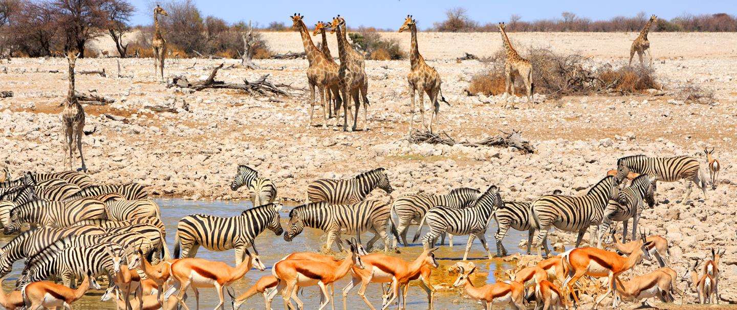 Self-drive to Namibia for 9 nights from R8 600*pps