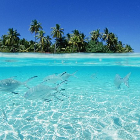 Four Trident Club Med Kani for 7 nights from R39 350 pps