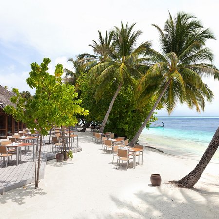 4-Star Vilamendhoo Island Resort - Maldives Package (7 nights)