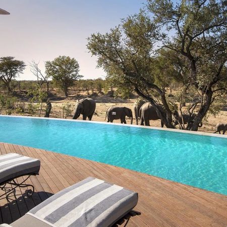 andBeyond Ngala Safari Lodge for 2 nights from R9 800* pps - self drive