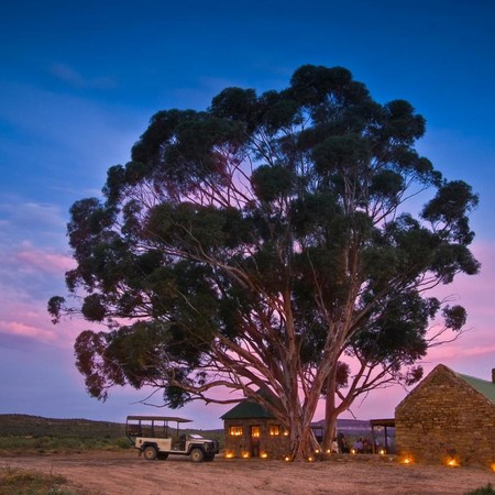 Five star Bushmans Kloof Wilderness Reserve and Wellness Retreat, Natural Wellness offer for 2 nights from R15 140* pps - self drive