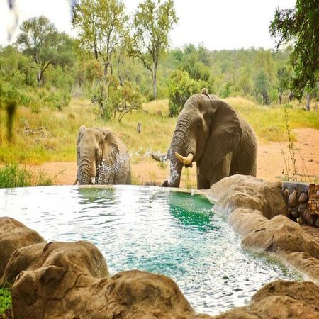 Motswari Private Game Reserve for 2 nights from R4 720* pps - self drive