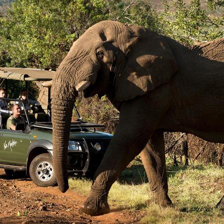 4 Star Kwa Maritane Bush Lodge Pilanesberg for two nights from R4 450 pps - self drive