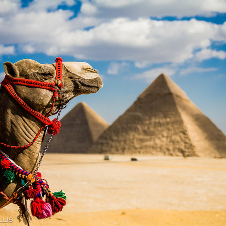 Egypt - 9 Nights Adventure
