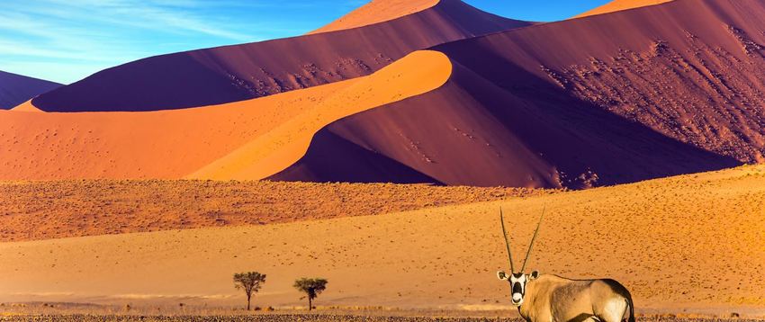 G Adventures - Cape and Namibia Adventure, 11 night tour from R39 184 pps - land only