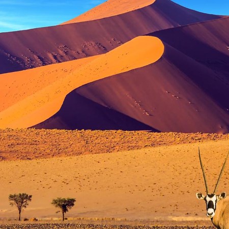 G Adventures - Cape and Namibia Adventure, 11 night tour from R39 184 pps - land only