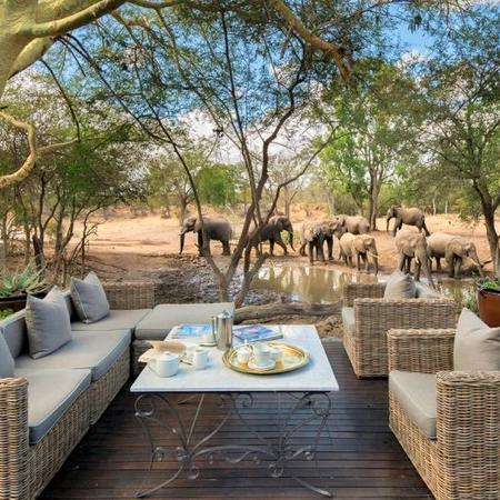 Luxury 5* &Beyond Ngala Safari Lodge - SA Resident special - save R10 930.00 pps