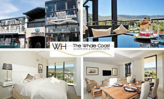 4 star Whale Coast Hotel 2 nights From R1 763 pp