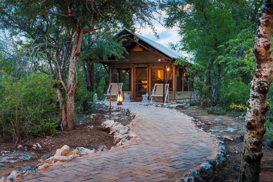 4 Night Windhoek and Etosha Adventure