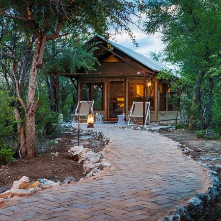 Etosha Guided Friendship Package
