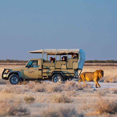 3 Days Guided Etosha Adventure