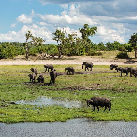 Tsowa Safari Island - Exploring east of Kavango Zambezi