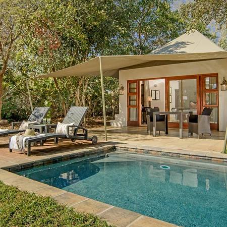 Christmas at Savanna Lodge - Sabi Sands