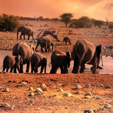 The Ultimate Namibian Adventure