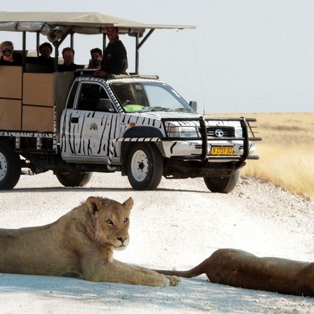 3* Etosha Safari Camp - Namibia Package (3 Nights)