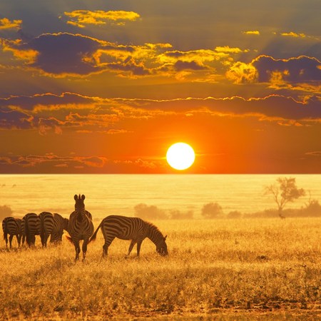 7 Day Namibian Highlights - Guided Tour