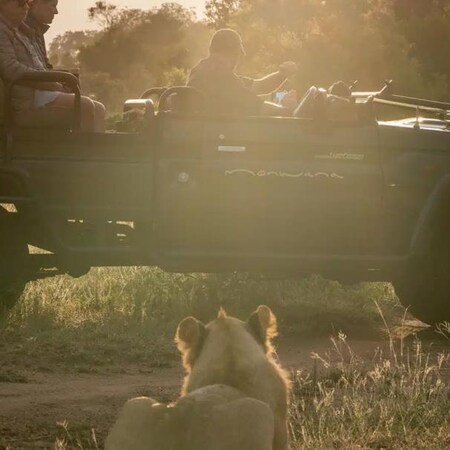 MORE Monwana Game Lodge, 2 nights from R20 990 pps - self drive