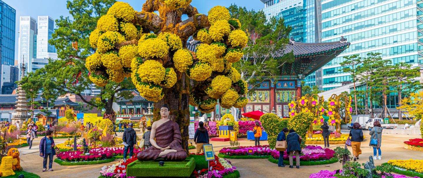 Contiki - South Korea Soul, 8 night tour from R42 500 pps - land only
