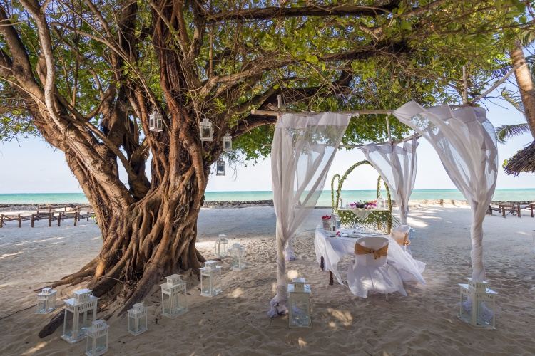 4* Plus Diamonds Mapenzi Beach Resort - Zanzibar Package on FlySafair  (7 Nights)