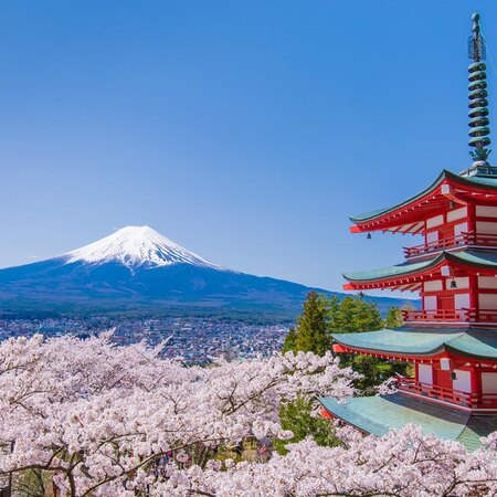Classic Japan, 10 night tour from R69 385 pps