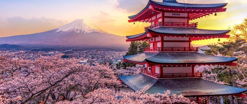 Costsaver - Japan Discovery, 9 night tour from R72 810 pps