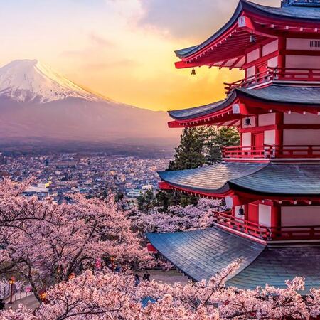 Costsaver - Japan Discovery, 9 night tour from R72 810 pps