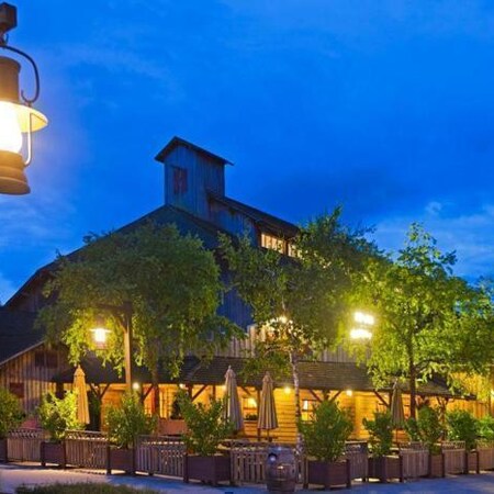 Paris and Disney's Davy Crockett Ranch Experience - France Family Package (5 Nights)