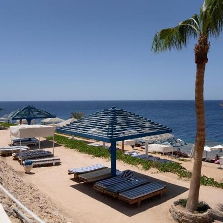 4* Grand Oasis Resort - Sharm El Sheikh - Egypt Package (5 Nights)