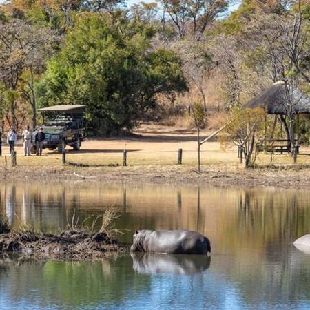 4* Mabula Game Lodge - Waterberg Package (2 Nights)