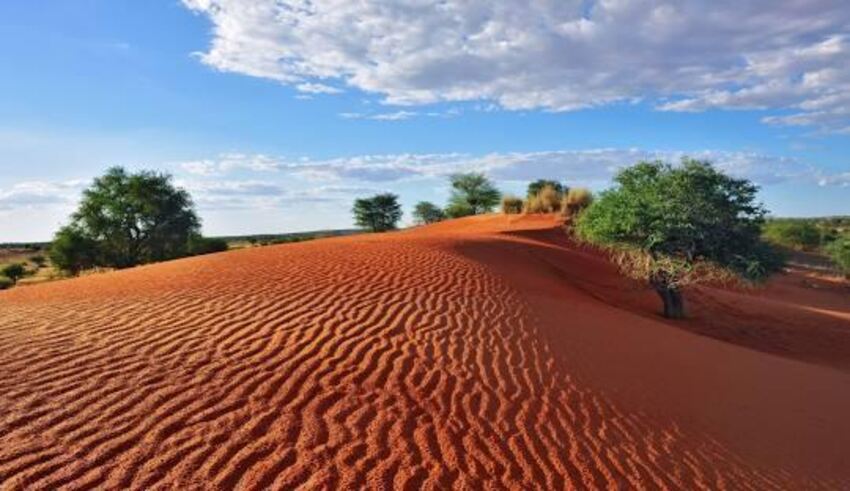 Namib Desert Discovery Package (4 Nights)