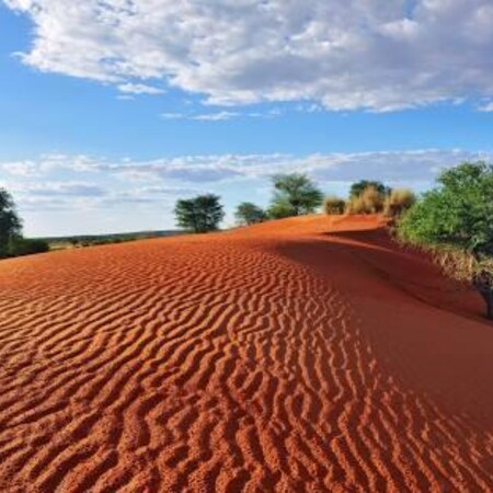 Namib Desert Discovery Package (4 Nights)