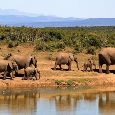 Malindi Beach & Tsavo Bush - Kenya Combo (7 Nights)