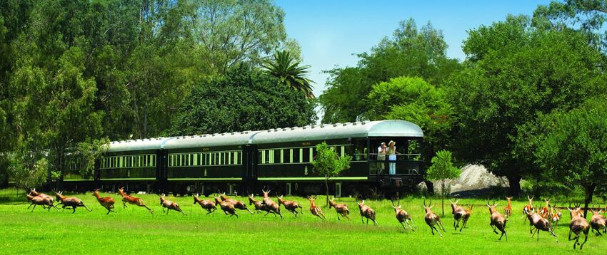 Rovos Rail - Victoria Falls to Pretoria, 4 nights from R47 500 pps