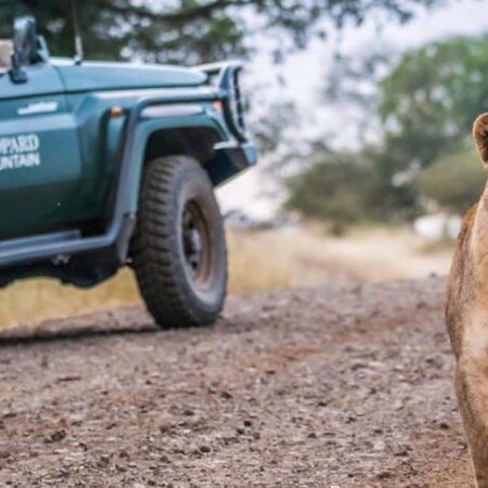 5* Leopard Mountain Safari Lodge - Near Hluhluwe Package (2 Nights)