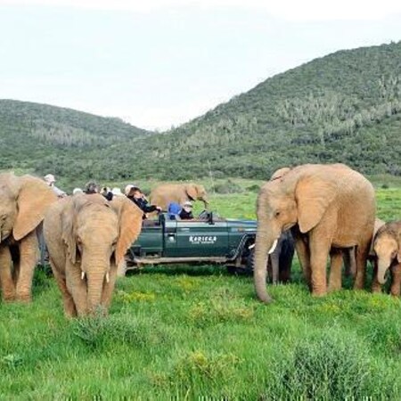 4* Kariega Game Reserve - Main Lodge Package (2 Nights)