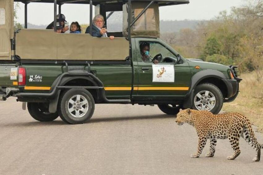 5* Sabi Sabi Bush Lodge - Sabi Sands Private Reserve Package (2 nights)