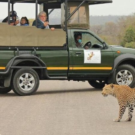 5* Sabi Sabi Bush Lodge - Sabi Sands Private Reserve Package (2 nights)