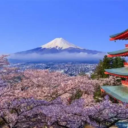 Tokyo Treasures 