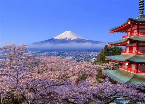 Tokyo Treasures 