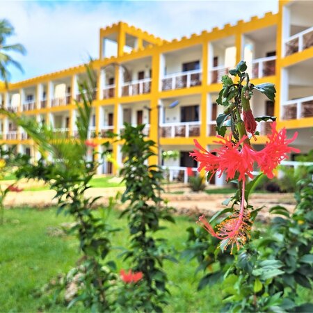 REEF & BEACH RESORT - 5 night holiday at Reef & Beach Resort