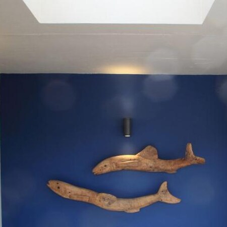 5* Starfish Guest Lodge - Plettenberg Bay Package (2 Nights)