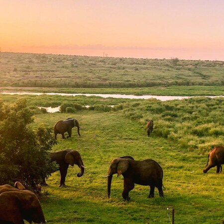 Elephant Walk Tented Camp, 3 nights from R11 205 pps - self drive