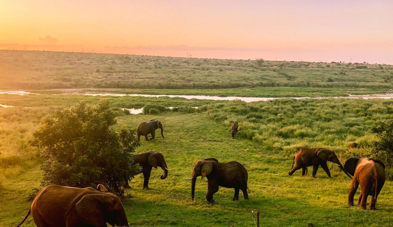 Elephant Walk Tented Camp, 3 nights from R11 205 pps - self drive